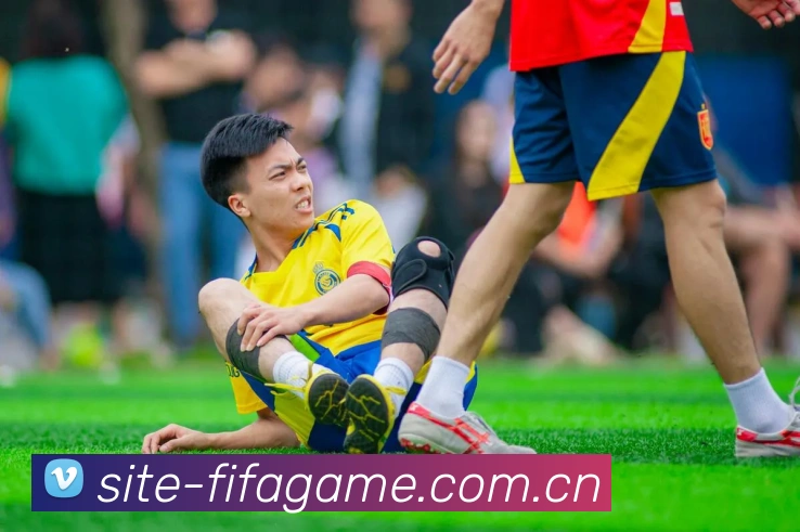 FIFA官方数据授权认证